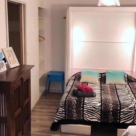 Grand Studio Cahors Centre Rdc Proche Gare Pont Valentre公寓 外观 照片