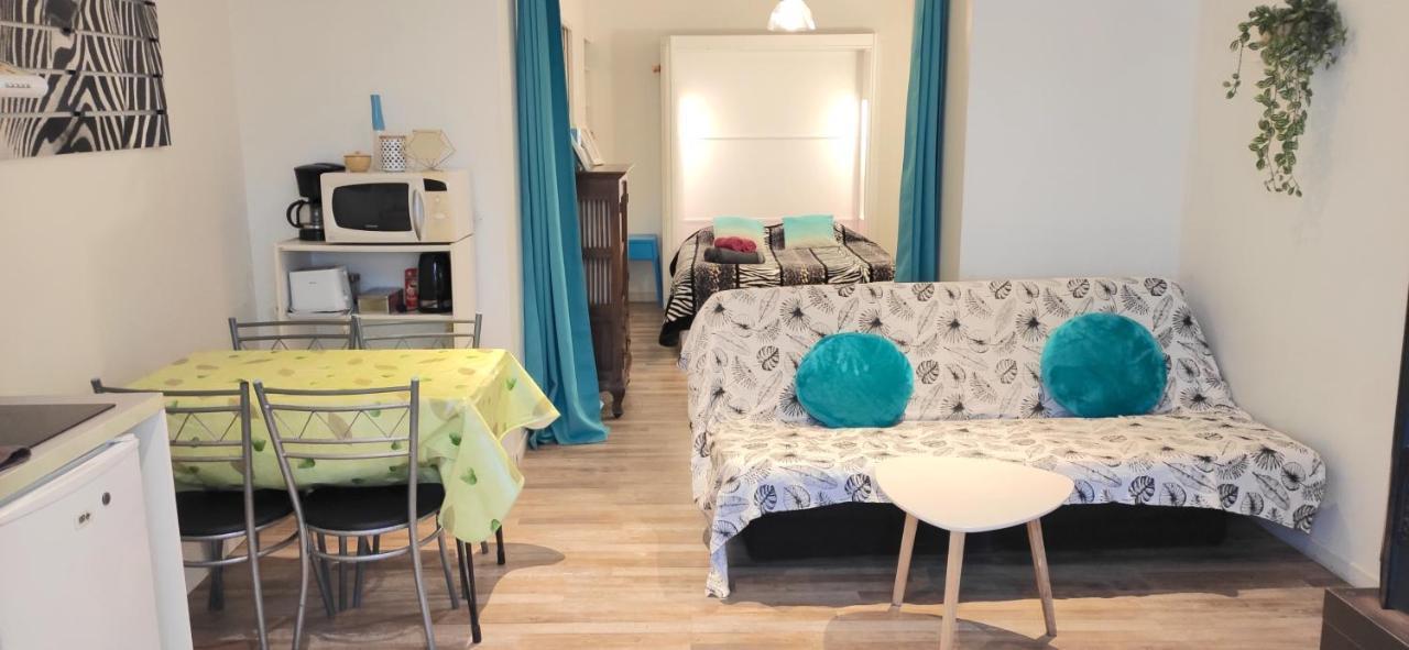 Grand Studio Cahors Centre Rdc Proche Gare Pont Valentre公寓 外观 照片